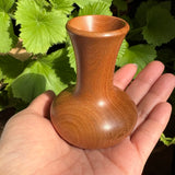 楊枝入れ 桑 槐 桜