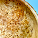 天然杢 栃 根こぶ 半月形